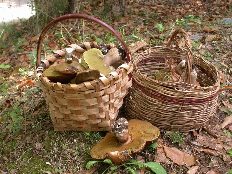 Escursione autunnale in Corsica - 2